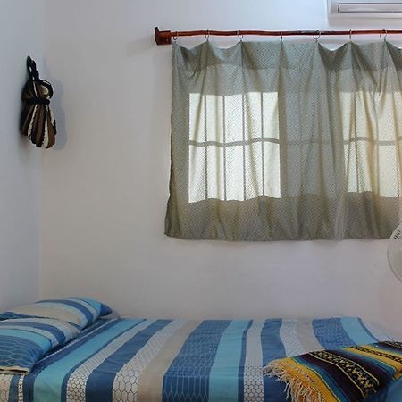 קוזומל Alicia'S Bed & Breakfast מראה חיצוני תמונה
