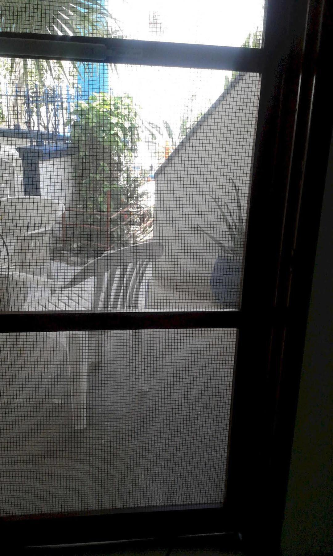 קוזומל Alicia'S Bed & Breakfast מראה חיצוני תמונה